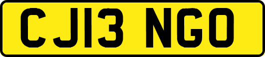 CJ13NGO
