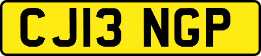 CJ13NGP