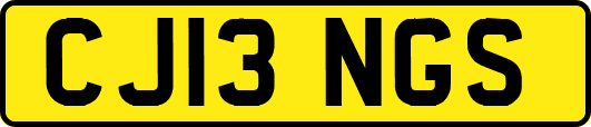 CJ13NGS