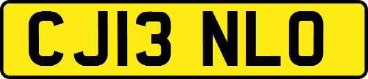 CJ13NLO