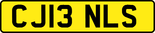 CJ13NLS