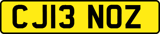 CJ13NOZ