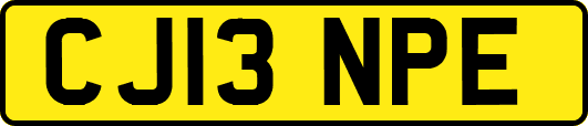 CJ13NPE