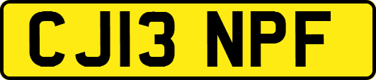 CJ13NPF