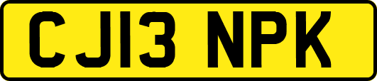 CJ13NPK