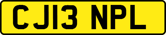 CJ13NPL