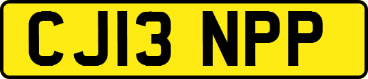 CJ13NPP