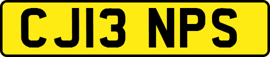 CJ13NPS