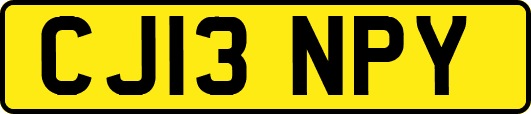 CJ13NPY