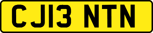 CJ13NTN