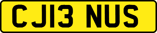 CJ13NUS
