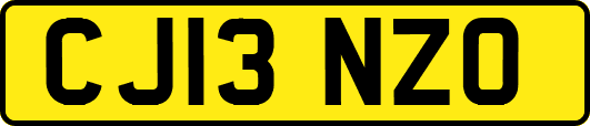 CJ13NZO
