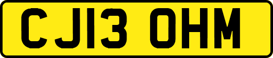 CJ13OHM
