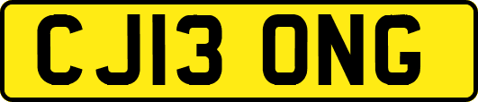 CJ13ONG