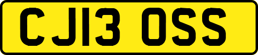 CJ13OSS