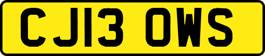 CJ13OWS