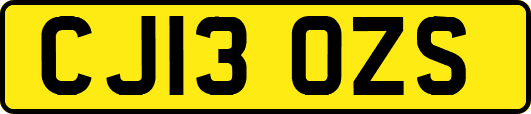 CJ13OZS