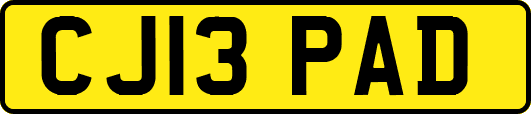 CJ13PAD