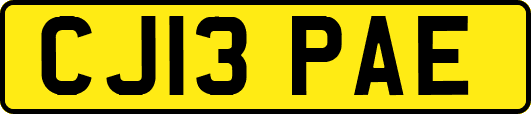 CJ13PAE