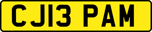 CJ13PAM