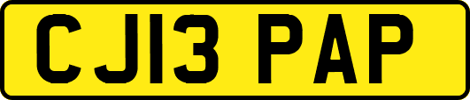 CJ13PAP