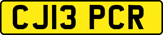 CJ13PCR