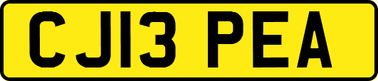 CJ13PEA