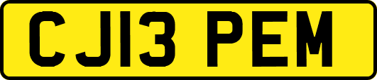 CJ13PEM