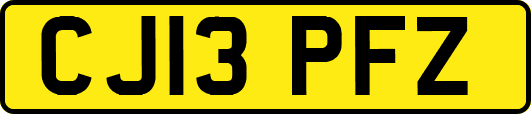 CJ13PFZ