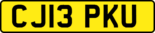 CJ13PKU
