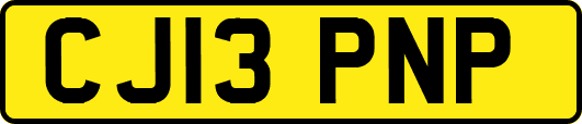 CJ13PNP