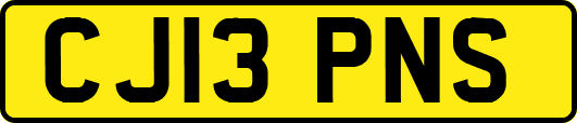 CJ13PNS