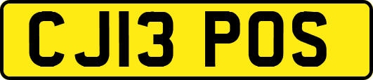 CJ13POS