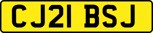 CJ21BSJ