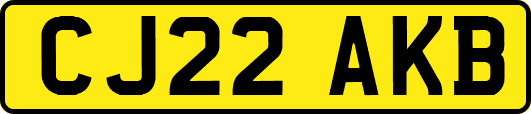 CJ22AKB