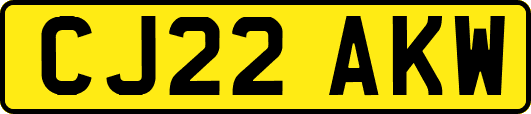 CJ22AKW