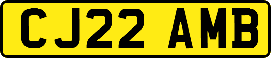 CJ22AMB