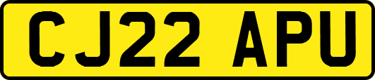 CJ22APU