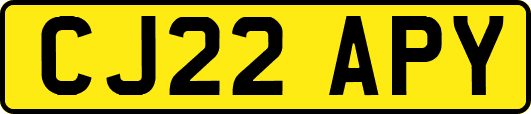 CJ22APY