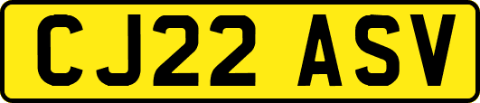 CJ22ASV