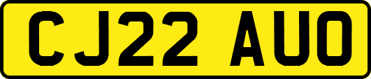 CJ22AUO