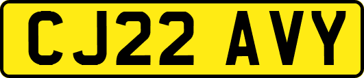 CJ22AVY