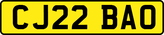 CJ22BAO