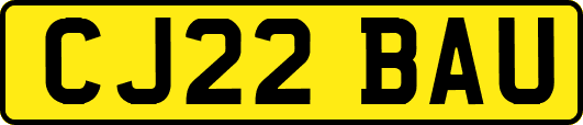 CJ22BAU