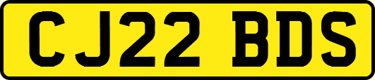 CJ22BDS