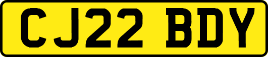 CJ22BDY