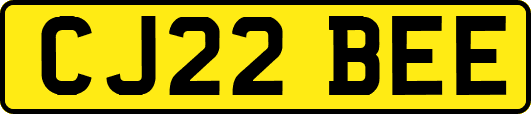 CJ22BEE
