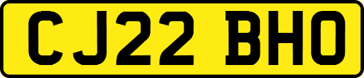 CJ22BHO