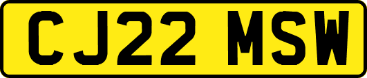 CJ22MSW