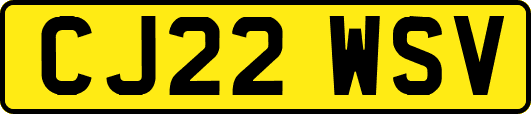 CJ22WSV